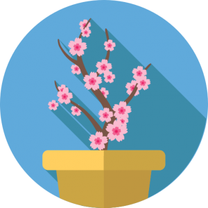 Bezorging op zondag - bloemen voorvertoning