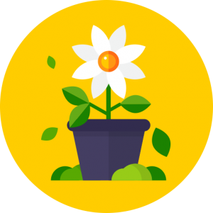 Tuinartikelen voorvertoning